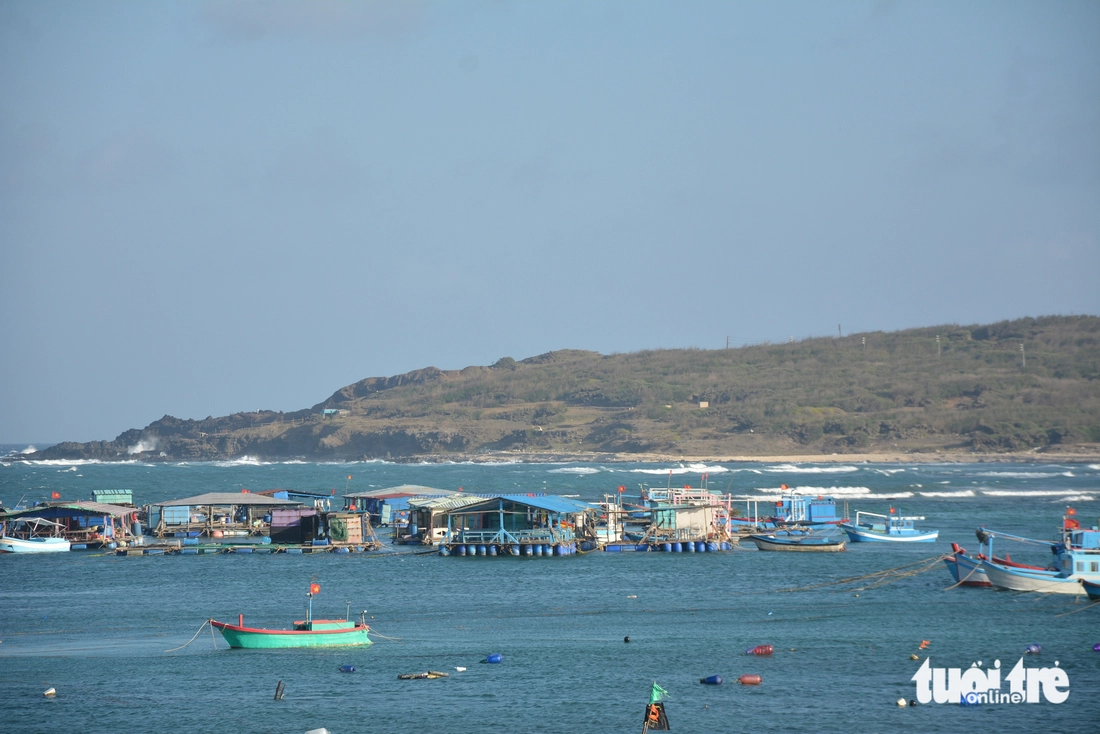 Nghỉ lễ 30-4, 1-5: Phú Quý kín phòng, 'cháy' vé tàu cao tốc từ đất liền ra đảo - Ảnh 2.