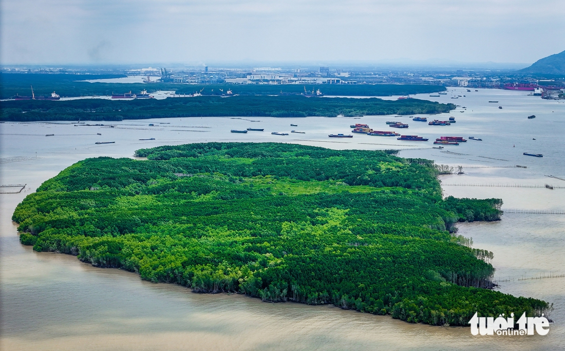 Cần Giờ vươn mình từ những công trình lớn - Ảnh 14.