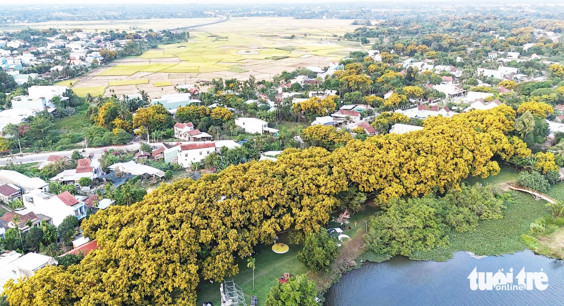 khinh khí cầu - Ảnh 2.