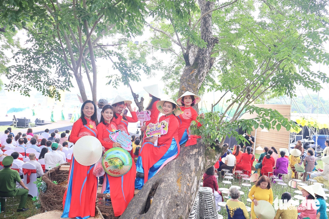 Du khách thích thú ngồi trên khinh khí cầu ngắm hàng cây di sản sưa vàng cổ thụ - Ảnh 4.