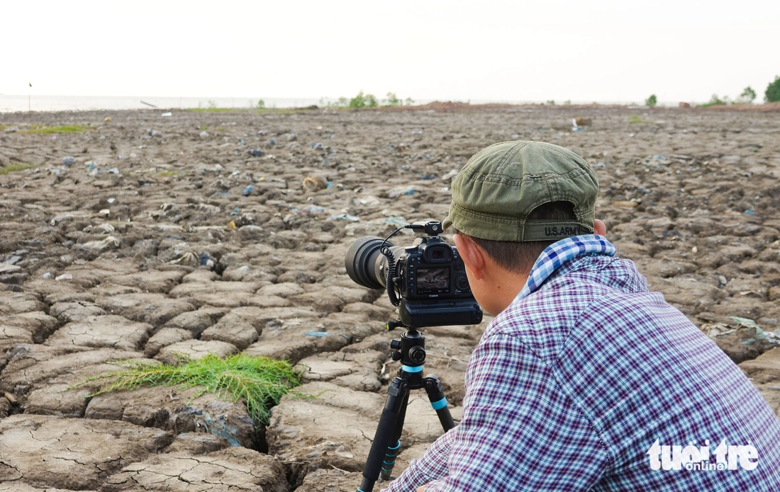Chim cà kheo - Ảnh 6.