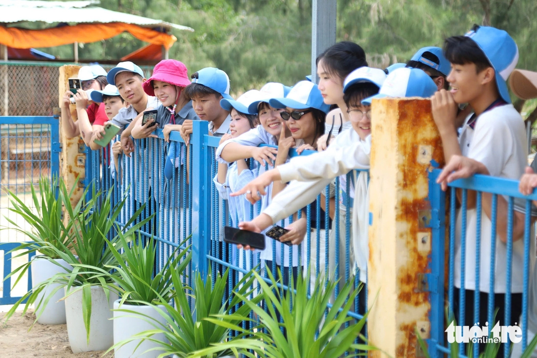 Nghe kể chuyện hổ Bengal đẻ con tại vườn thú FLC Quy Nhơn - Ảnh 10.