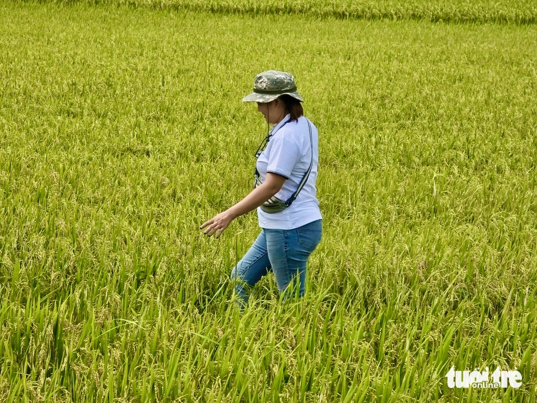 Du khách tham gia caravan, chứng kiến tâm lũ Hòa Thịnh hồi sinh - Ảnh 7.