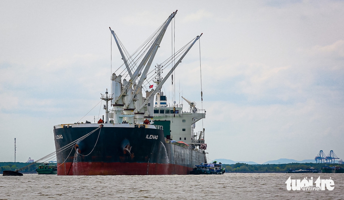 Dấu ấn 50 năm thành phố mang tên Bác: Siêu cảng Cần Giờ vươn ra thế giới - Ảnh 11.