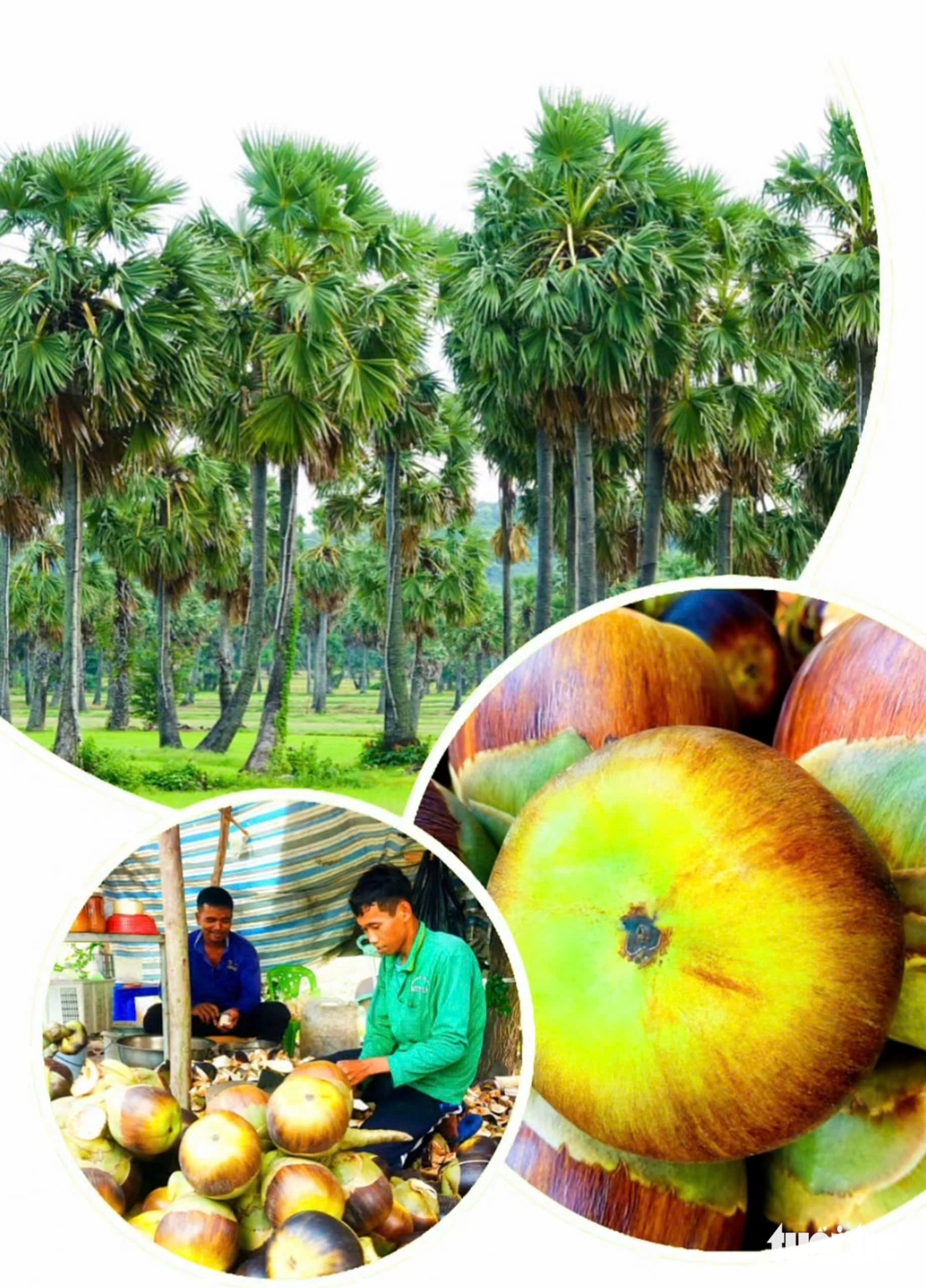 Lạc vào ‘xứ sở thần tiên’ An Giang dịp lễ, du khách chơi đâu mới hết bài? - Ảnh 10.