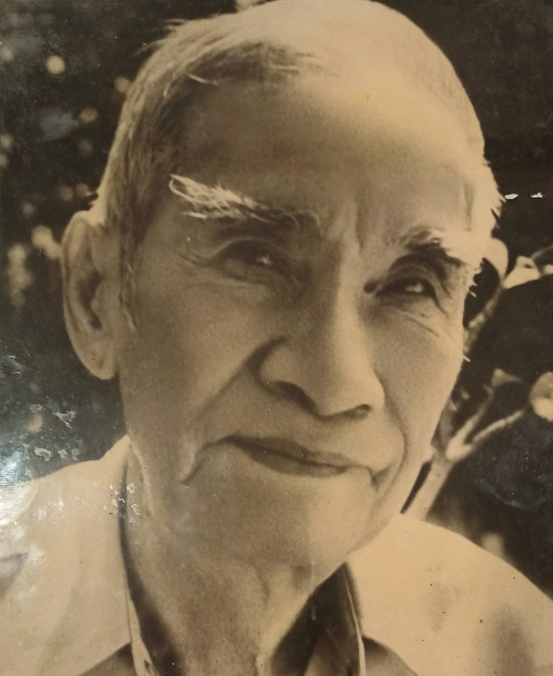 dòng họ Ca Lê - Ảnh 2.