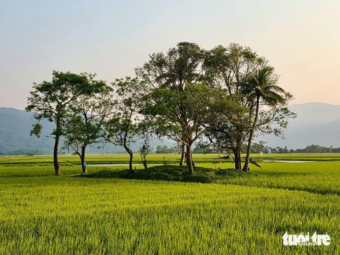 Hẹn em ngày nhật thực - Ảnh 18.