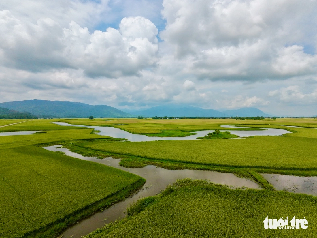 Hẹn em ngày nhật thực - Ảnh 19.