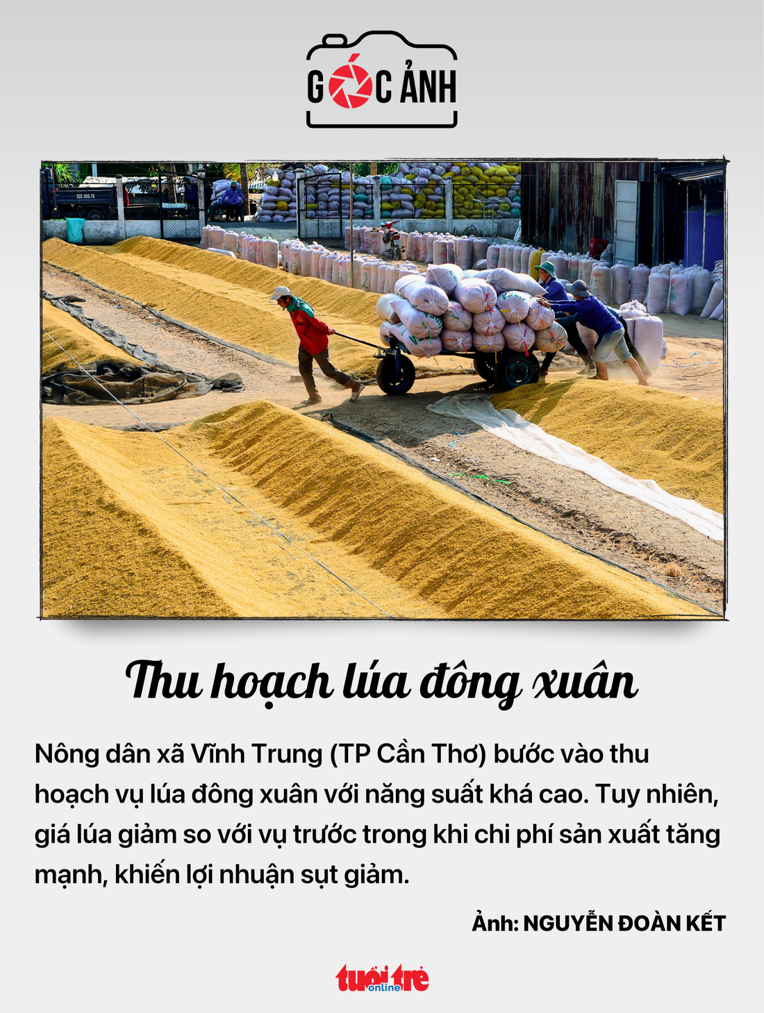 buôn bán hàng kém chất lượng - Ảnh 6.