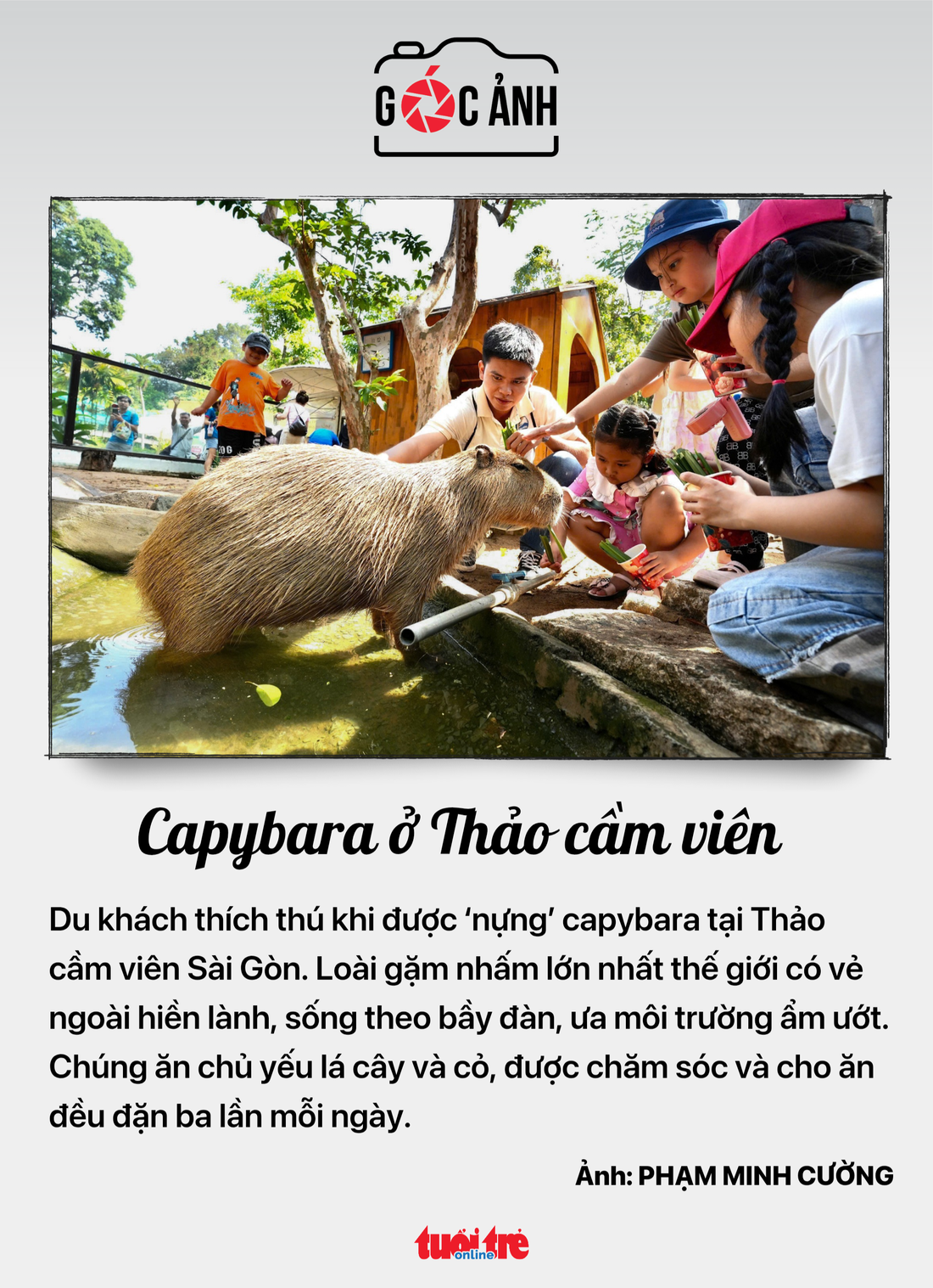 khám sức khỏe miễn phí - Ảnh 6.