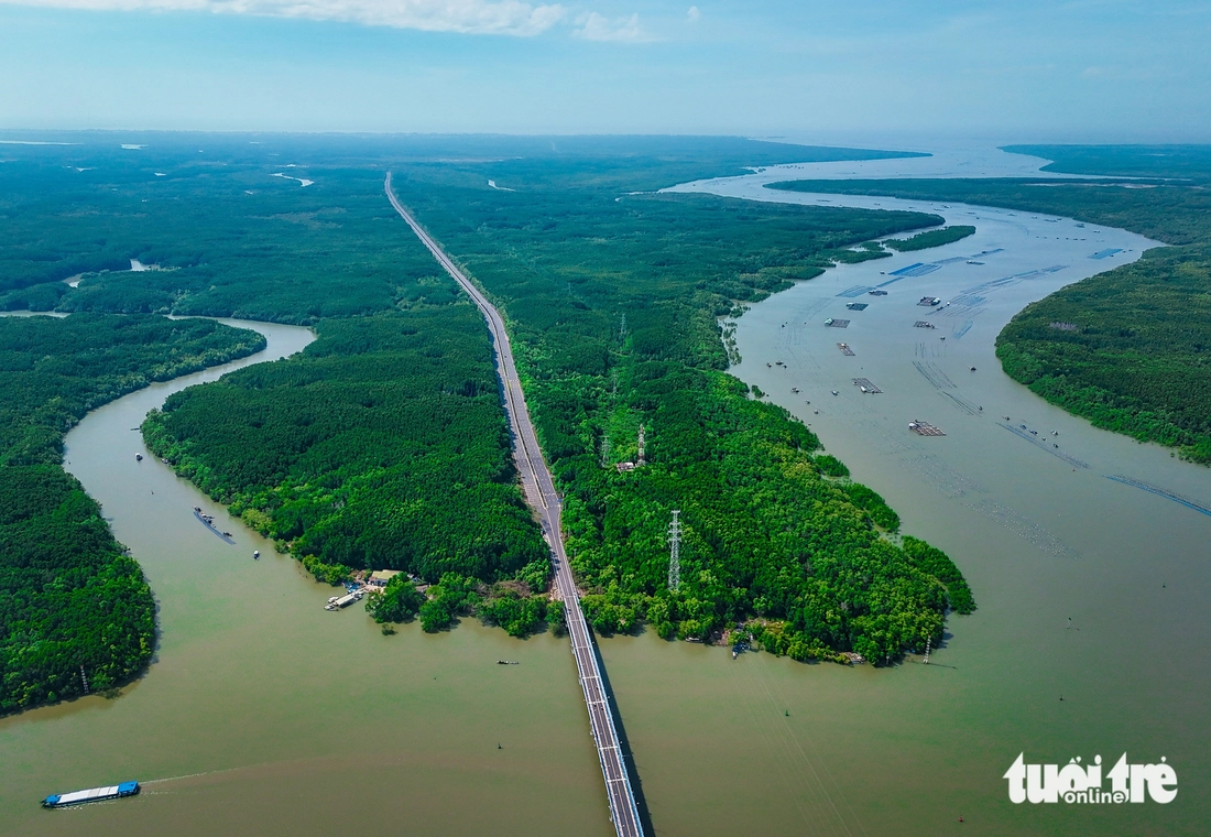 Rừng Sác - Ảnh 2.