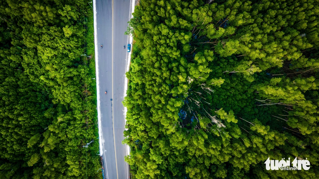 Rừng Sác - Ảnh 7.