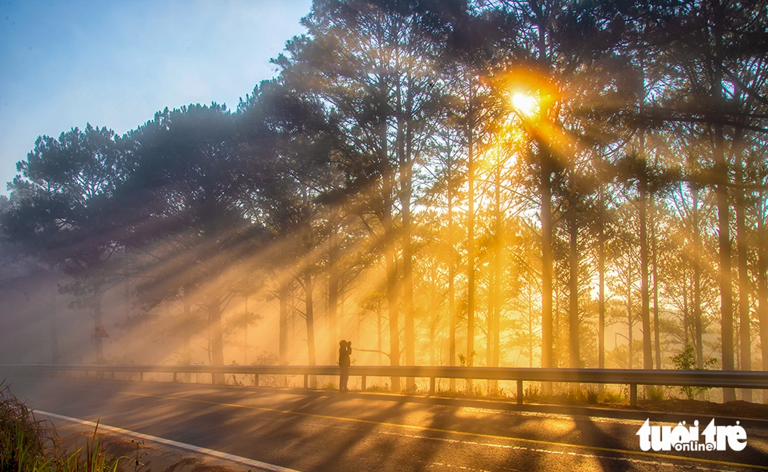 đà lạt - Ảnh 2.