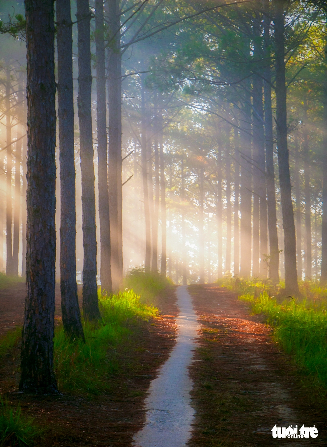 Những cung đường bồng bềnh Đà Lạt mùa săn mây - Ảnh 5.