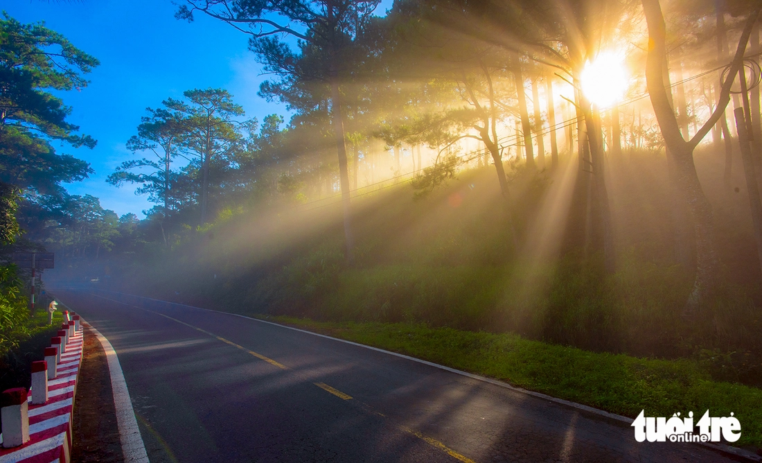 đà lạt - Ảnh 5.