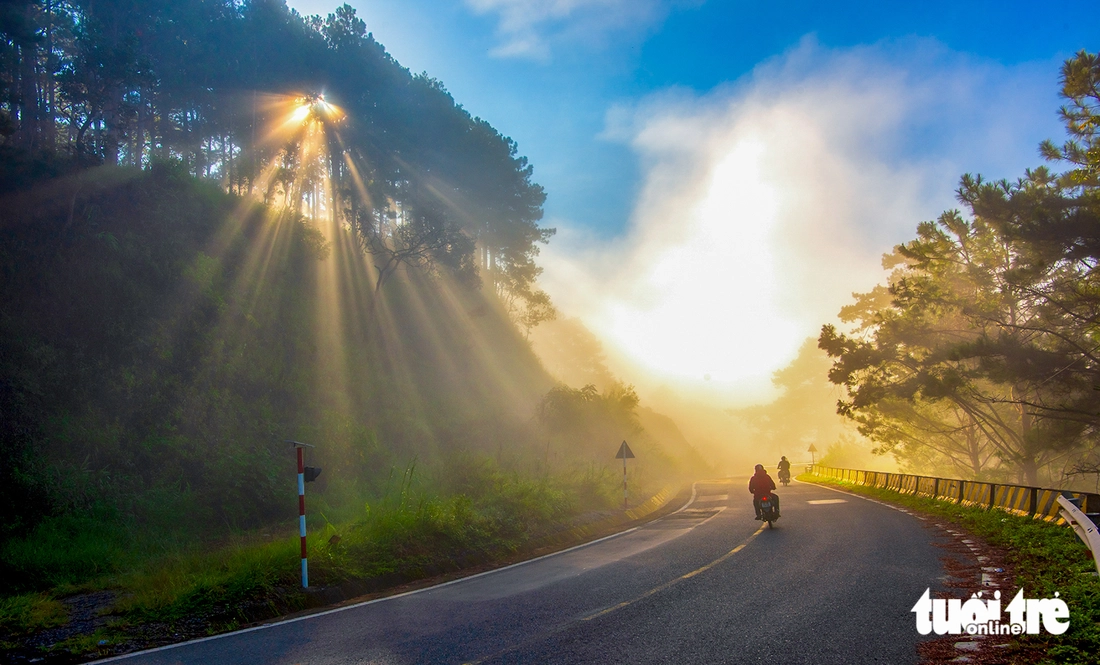 đà lạt - Ảnh 6.