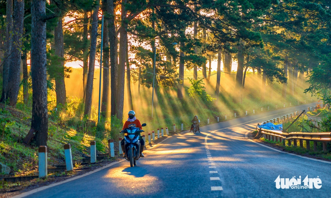 đà lạt - Ảnh 7.