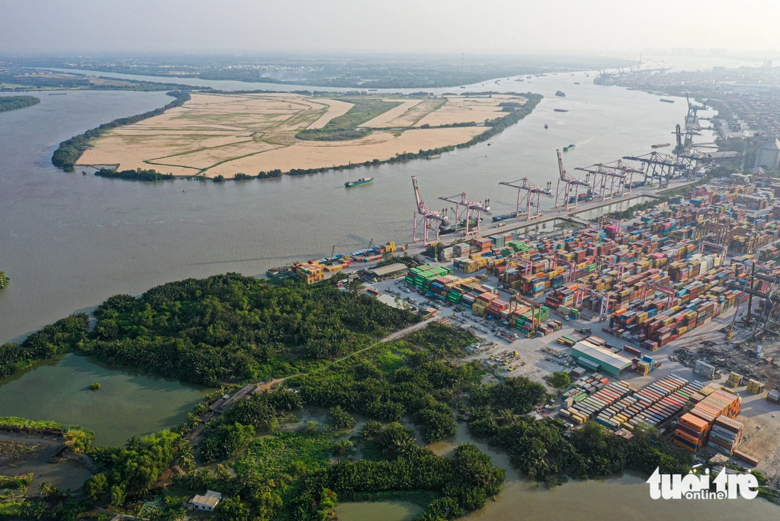 cát lái - Ảnh 10.