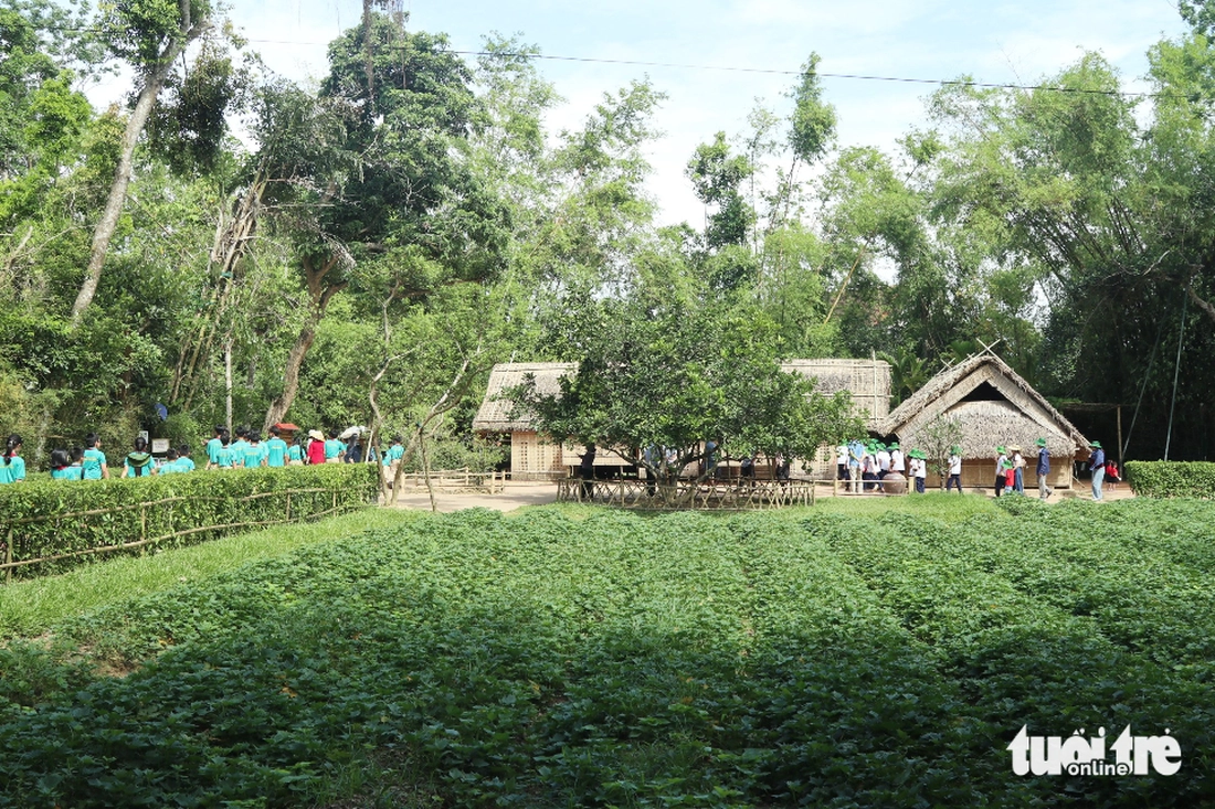 Kim Liên - Ảnh 4.