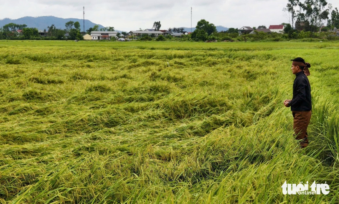 dông lốc - Ảnh 8.