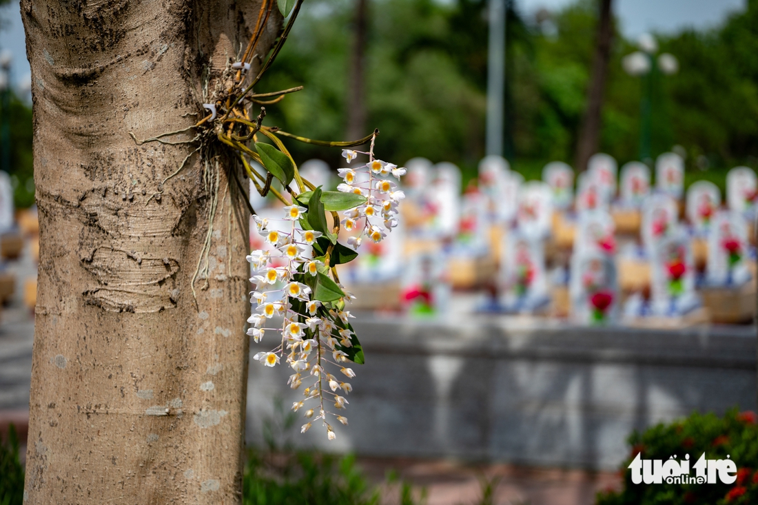 tri ân liệt sĩ - Ảnh 1.