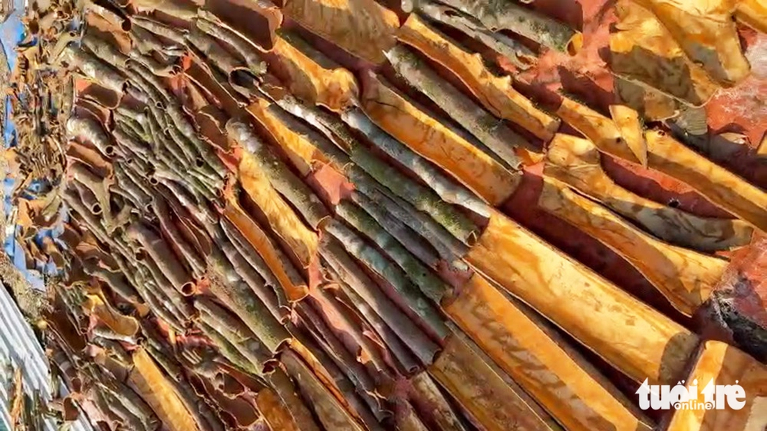 quế Trà Leng - Ảnh 5.
