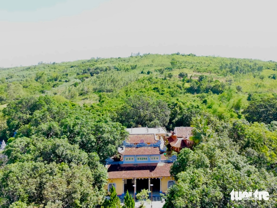 Xoài tiến vua bên ngôi cổ tự hơn 200 năm tuổi - Ảnh 1.