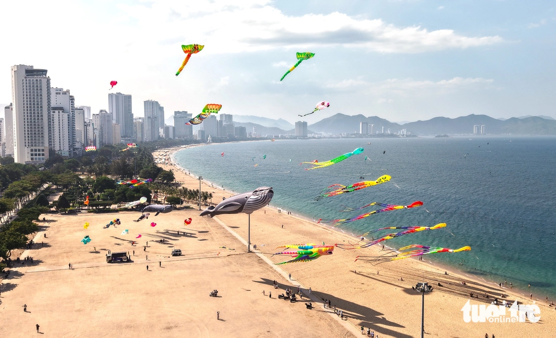 Vận động viên lướt ván diều ở Festival Biển 2026 - Ảnh 1.