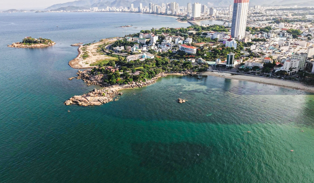 Biển Hòn Chồng là 'cái nôi' nghiên cứu, phục hồi rạn san hô - Ảnh 3.