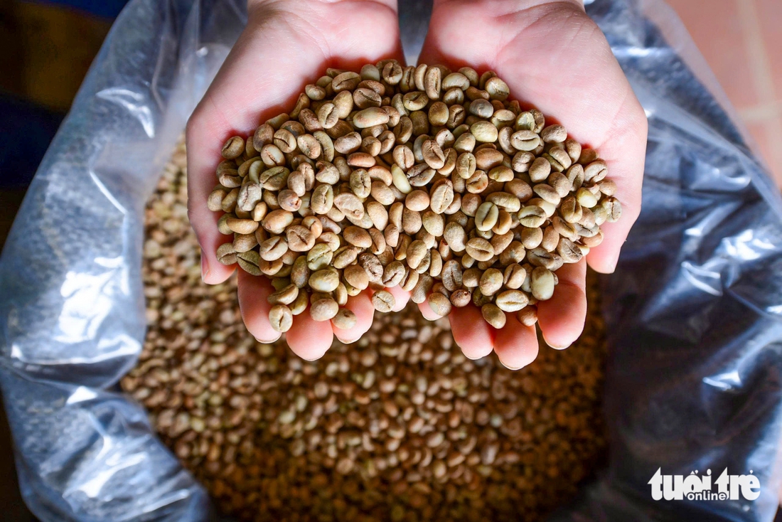 Nâng cấp vị thế cà phê Robusta Việt Nam bằng thương hiệu quốc gia - Ảnh 4.