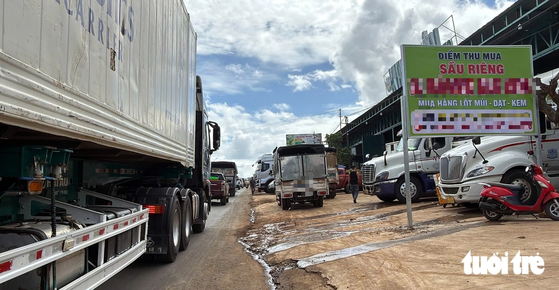 Mùa sầu riêng, quốc lộ 26 ở Đắk Lắk oằn mình vì xe container, xe tải nặng - Ảnh 2.