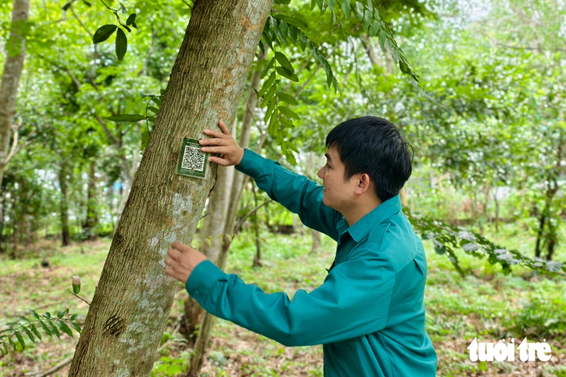 Vườn rừng ngập phèn 367ha, 'lá phổi xanh' cửa ngõ phía tây nam TP.HCM - Ảnh 6.
