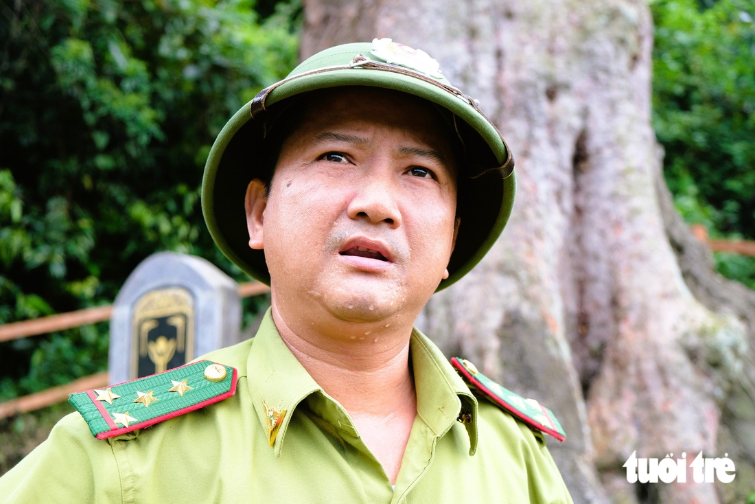 Phía sau những bước chân giữ rừng - Ảnh 1.