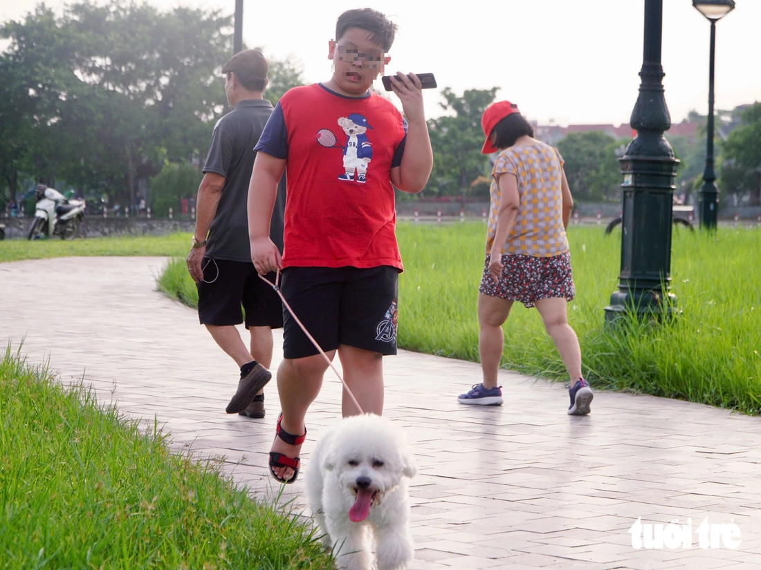 Chó ở Hà Nội không đeo rọ mõm và thả rông giữa quy định phạt 2 triệu đồng - Ảnh 3.