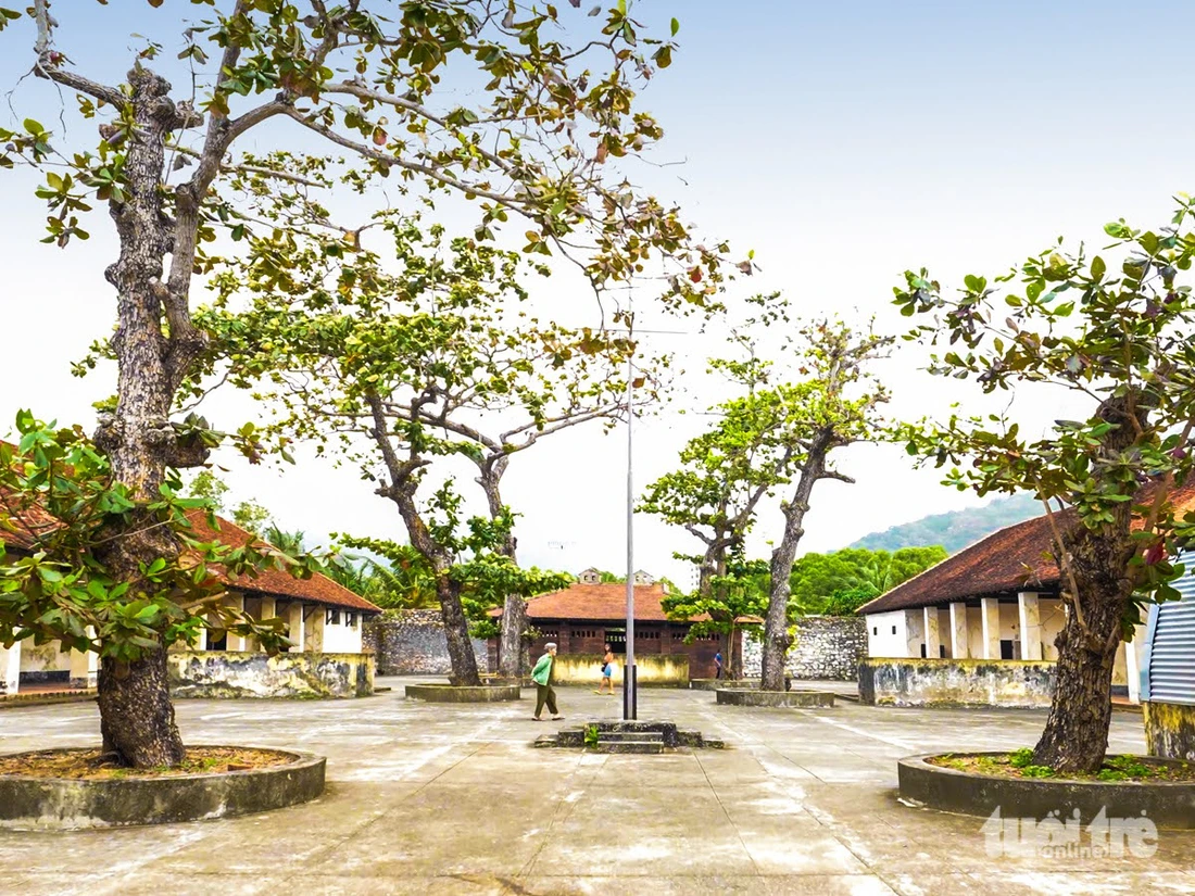 Côn Đảo xanh - Ký ức bất tử và tiếng gọi bình yên của biển rừng - Ảnh 9.