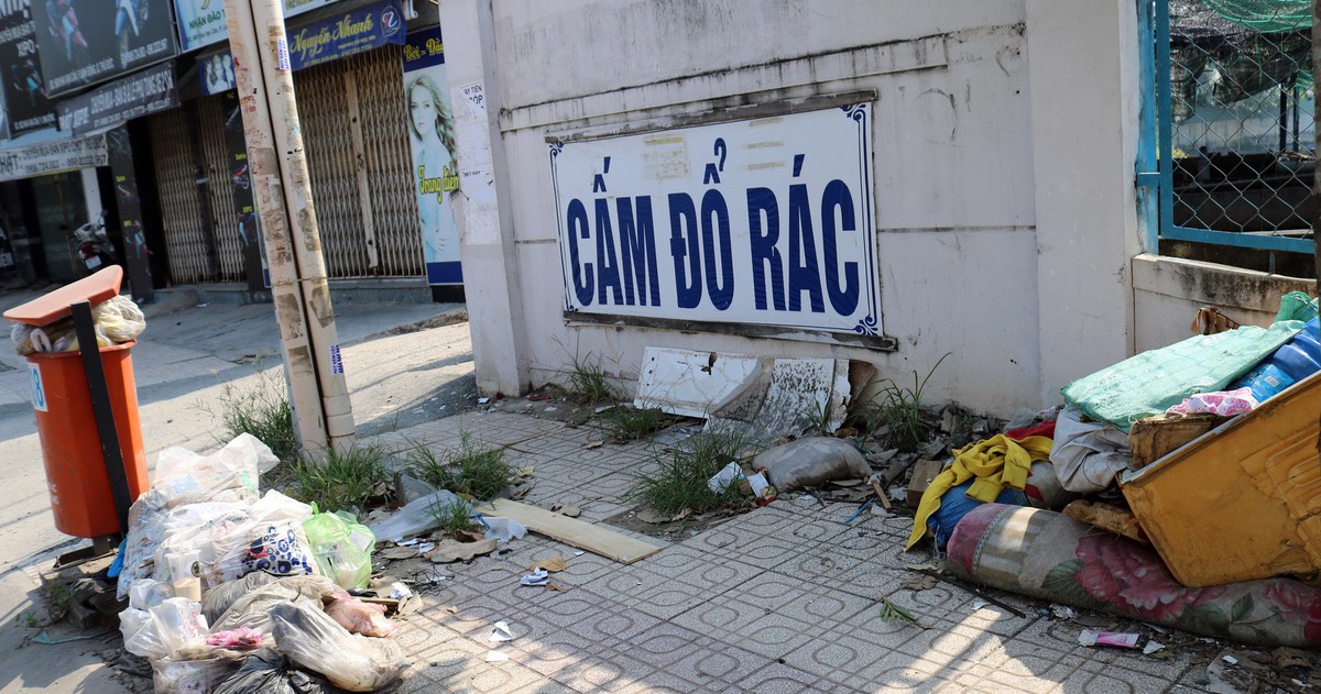 Nói không với xả rác: Đưa giáo dục môi trường vào trường học - Tuổi Trẻ ...