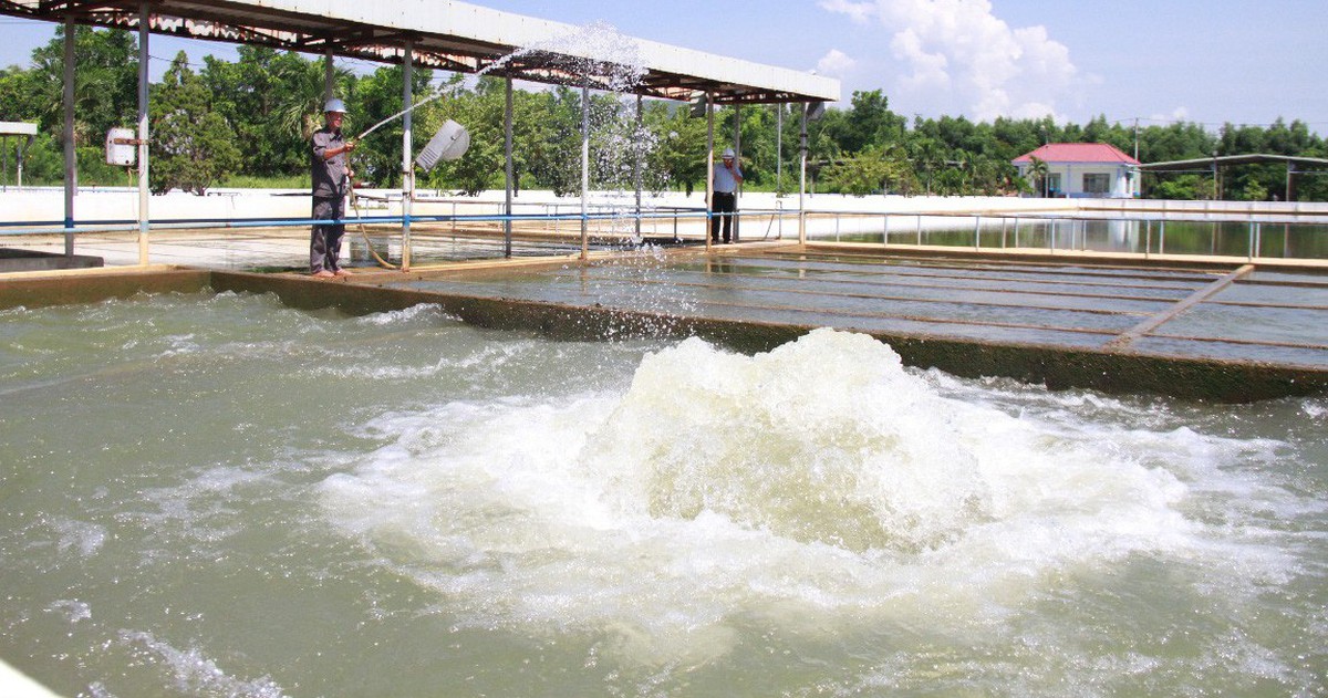 'Ai cố tình tạo ra việc thiếu nước ở Đà Nẵng thì phải điều tra'