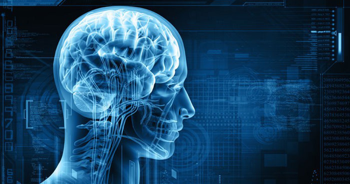 5 c&aacute;ch để bộ n&atilde;o kh&ocirc;ng 'phản chủ' - Tuổi Trẻ Online