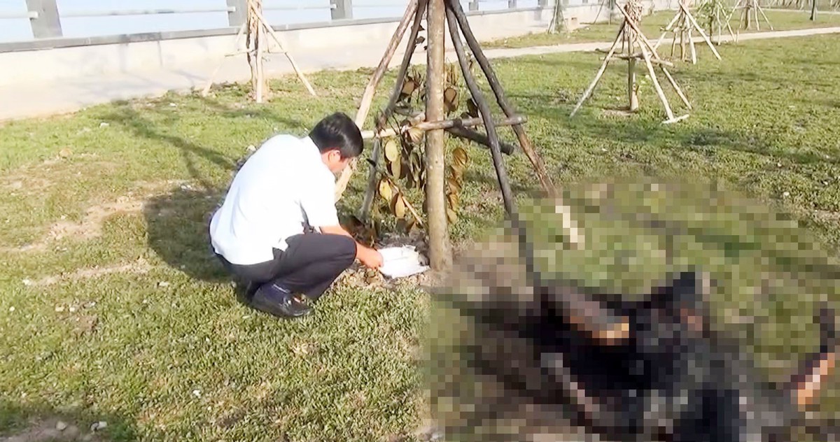 Người đàn ông 75 tuổi tử vong ở TP Rạch Giá là do tự thiêu - Tuổi Trẻ Online