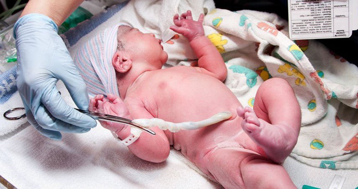 Lấy tế bào gốc từ máu cuống rốn: những điều cần biết