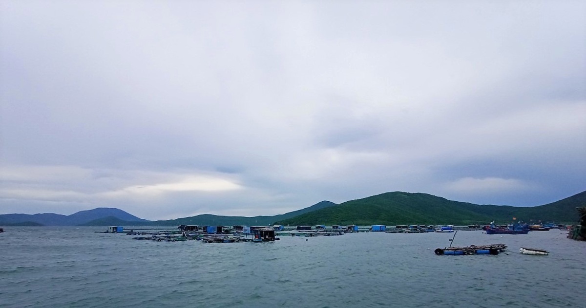 tuoitre.vn