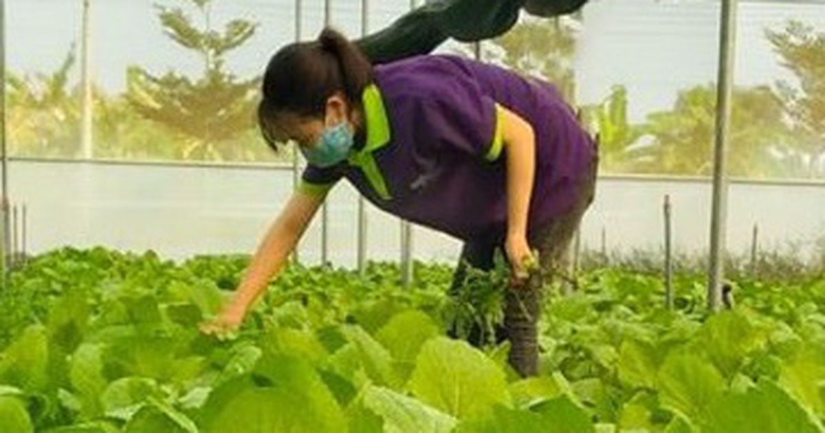 tuoitre.vn