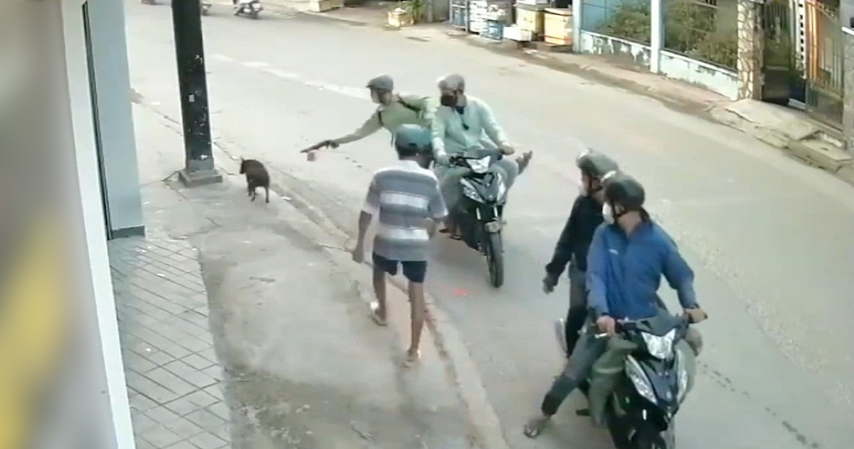 tv.tuoitre.vn
