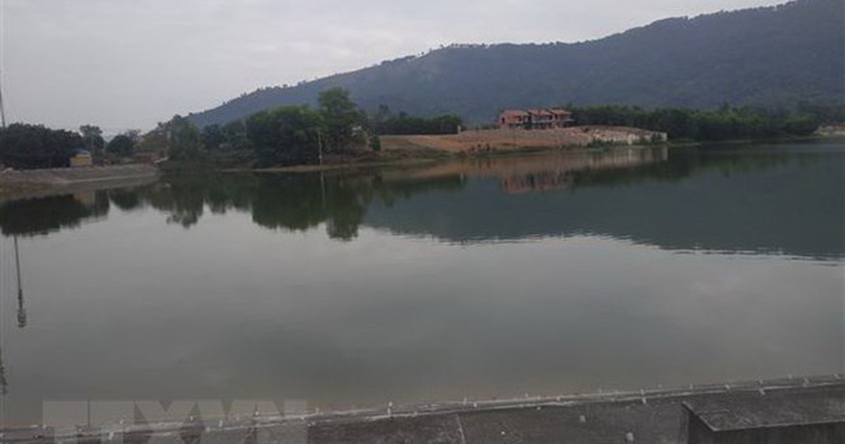 tuoitre.vn