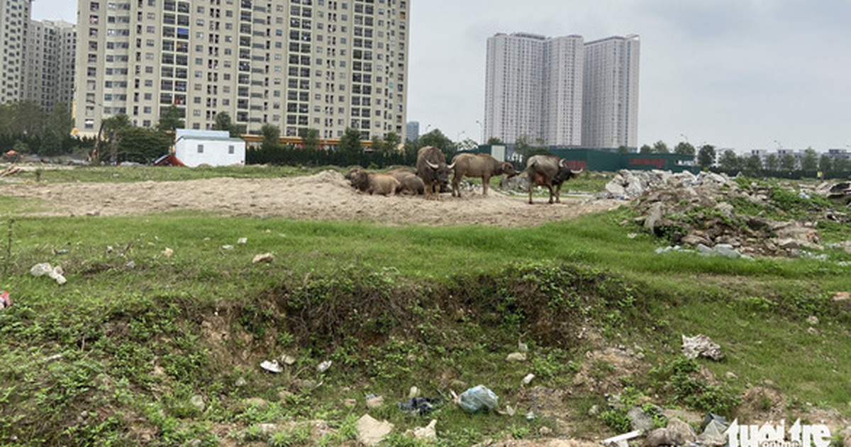 Đề nghị cân nhắc bỏ quy định thu hồi đất với các dự án đô thị, nhà ở thương mại