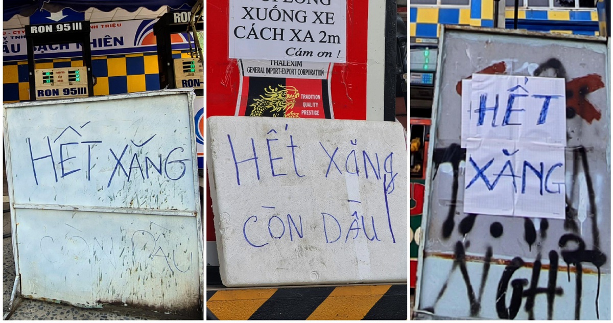 tuoitre.vn