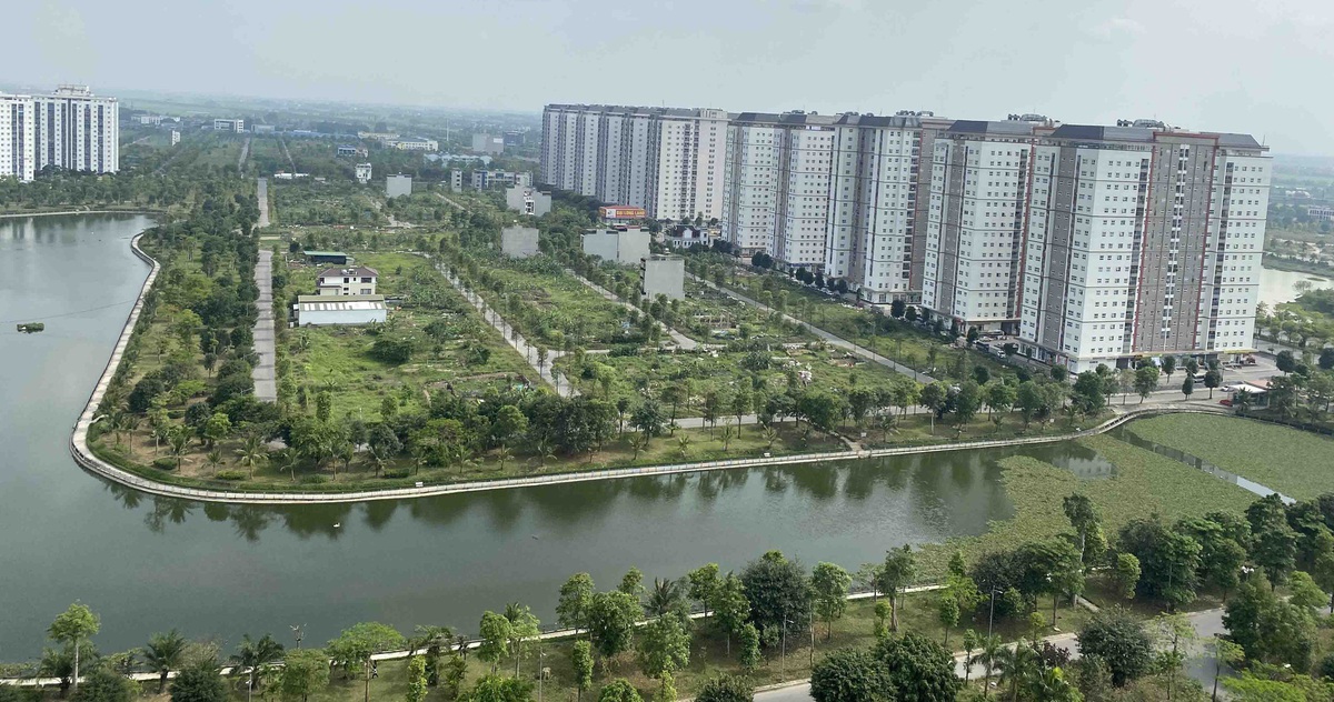 tuoitre.vn
