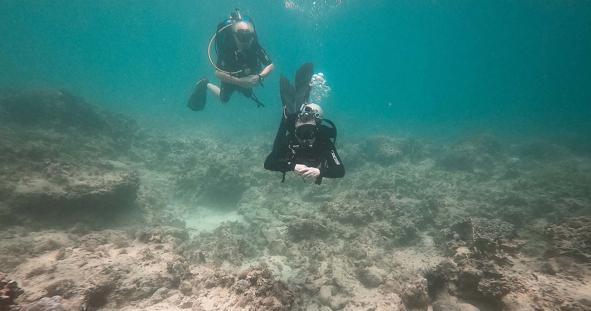 Cứu san hô chết ở khu bảo tồn Hòn Mun: Cơ quan chức năng cần vào cuộc sớm hơn