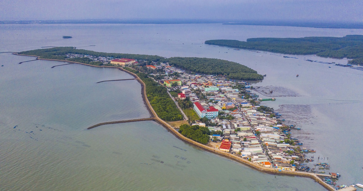 Gỡ vướng pháp lý ranh rừng phòng hộ Cần Giờ: 20 năm vẫn một vòng luẩn quẩn