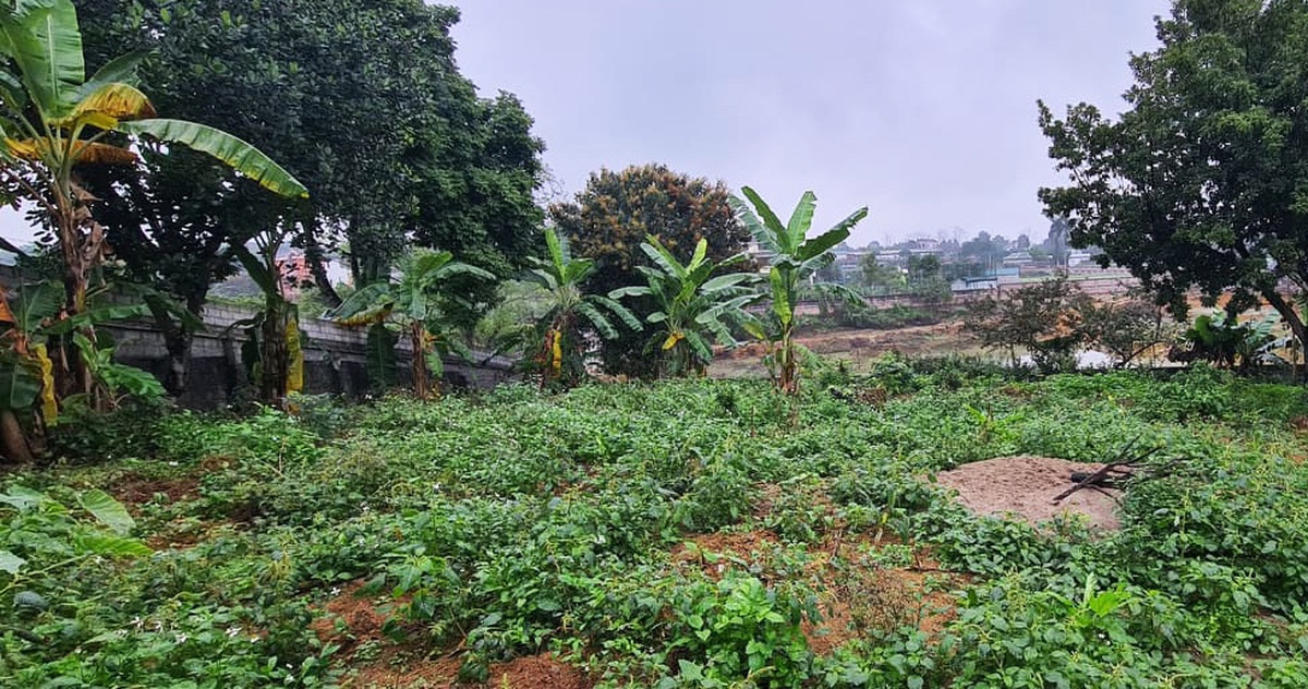 Thi thể cụ bà 95 tuổi chôn bất thường trong vườn nhà người con trai